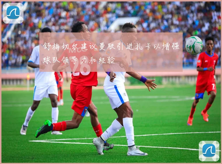 舒梅切尔建议曼联引进扎卡以增强球队领导力和经验